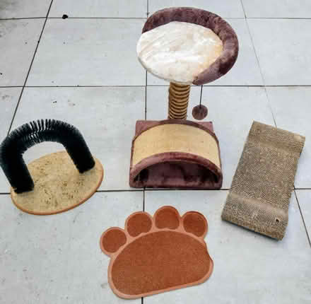Photo of free Various cat items (Hereford HR4) #2