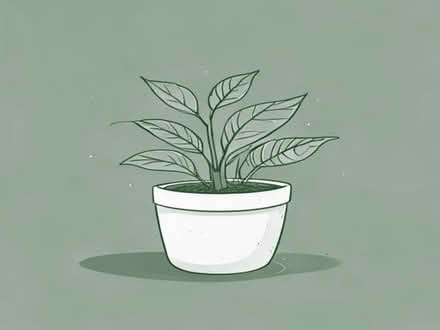 Photo of Plants for patio (Kemptown BN2) #1