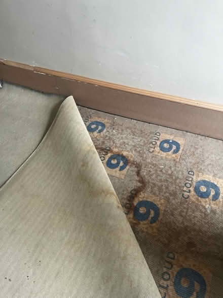 Photo of free Beige carpet and underlay (G43 Pollokshaws) #3