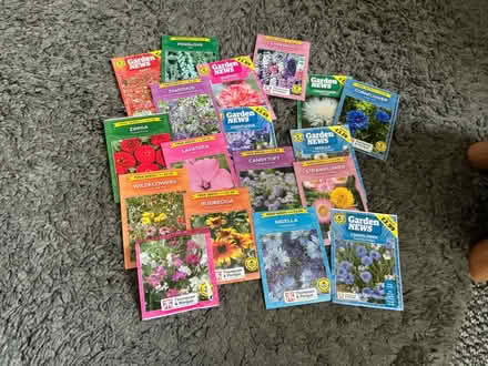 Photo of free Flower seeds (Liverpool 13 /Stoneycroft) #1