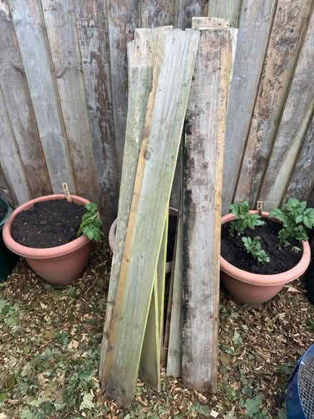 Photo of free X16 feather edge boards (Grafton, Shrewsbury) #1