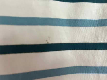 Photo of free Seasalt maternity t-shirt, size 12 (Bletchley MK2) #2