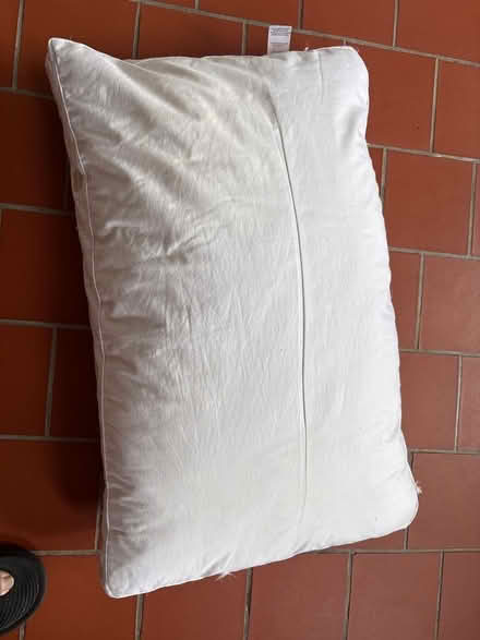 Photo of free Feather pillow. (Bilton CV22) #2