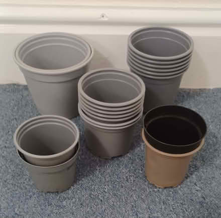 Photo of free 18 x plastic plant pots - Diameter 8cm - 13cm (Primrose LA1) #1