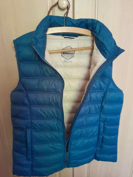 Photo of free Gilet (New mills high peak) #1