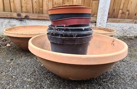 Photo of free Plant pots (Great Sutton CH66) #3