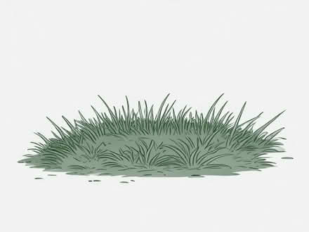 Photo of Grass carpet for garden (Lee Chapel SS15) #1