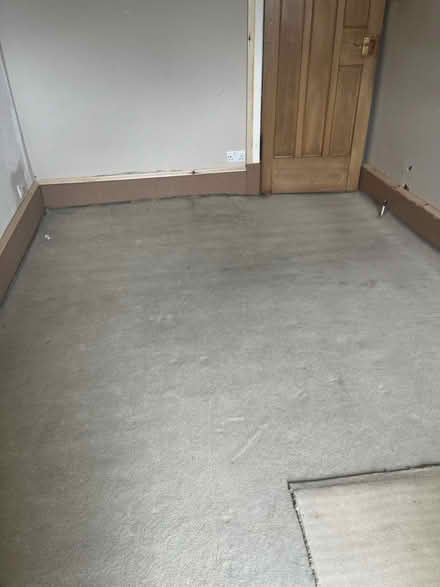 Photo of free Beige carpet and underlay (G43 Pollokshaws) #2