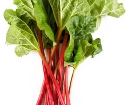 Photo of free Organic rhubarb (Mississauga Ontario Canada) #1