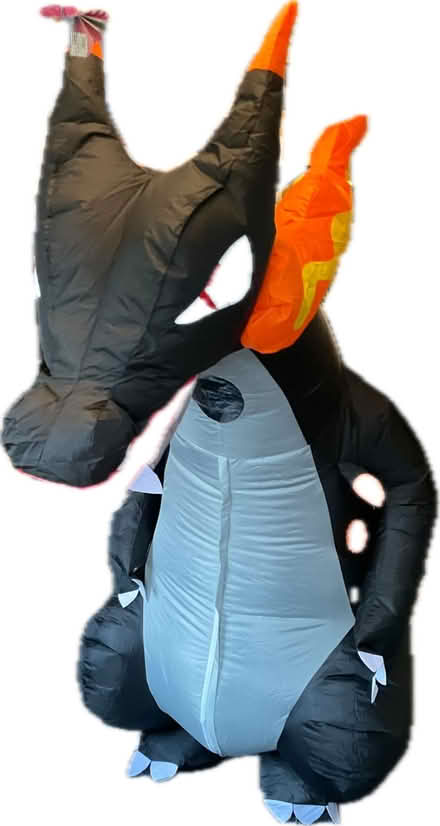 Photo of free Inflatable dragon costume (Bailiff Bridge HD6) #1