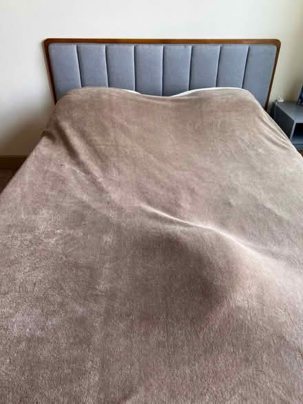 Photo of free Wooden bed frame queen size (Downtown Houston on main) #2