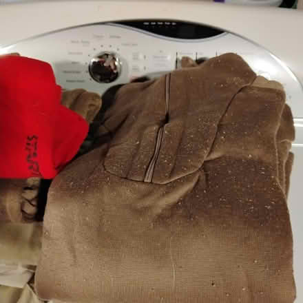 Photo of free Assortment of Clothes (Darien) #2