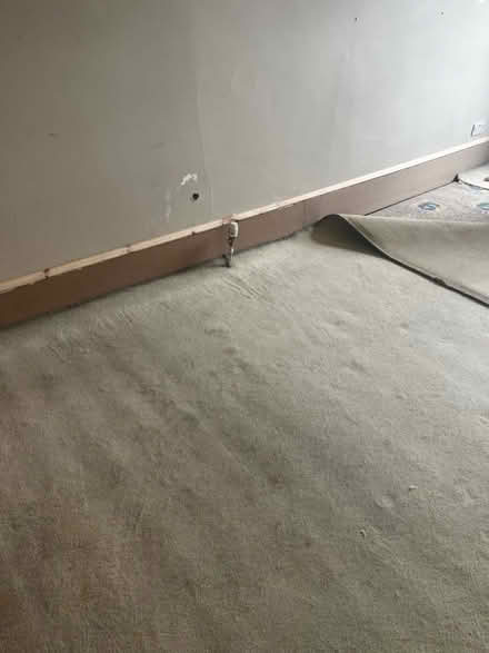 Photo of free Beige carpet and underlay (G43 Pollokshaws) #1