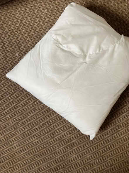 Photo of free 2 Large cushion inserts (Weston Park BA1) #2