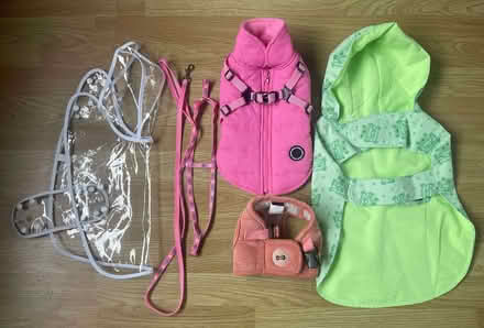 Photo of free Accessories for a small dog 2.5Kg (Old Malden KT4) #1