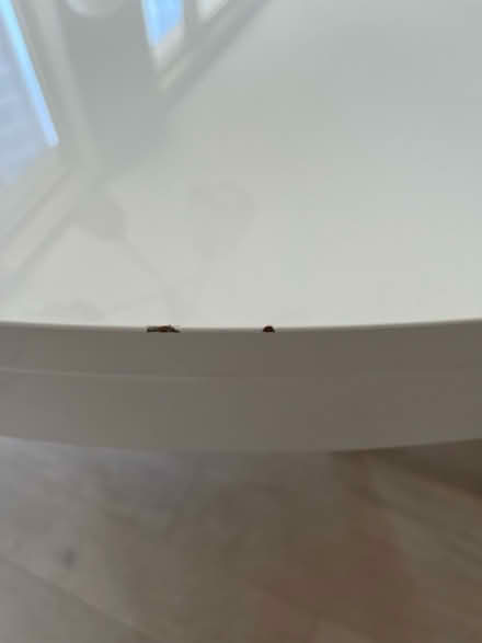 Photo of free Ligne Roset Ava Dining Table (Columbus Circle) #2