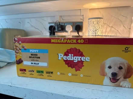 Photo of free Puppy food (Witham CM8) #1