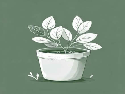 Photo of Large ish plant pots (Seaford BN25) #1