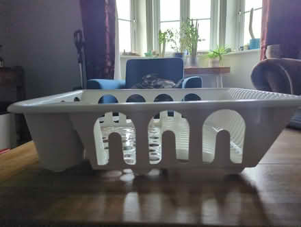 Photo of free Dish Rack (Dalmarnock G73) #2