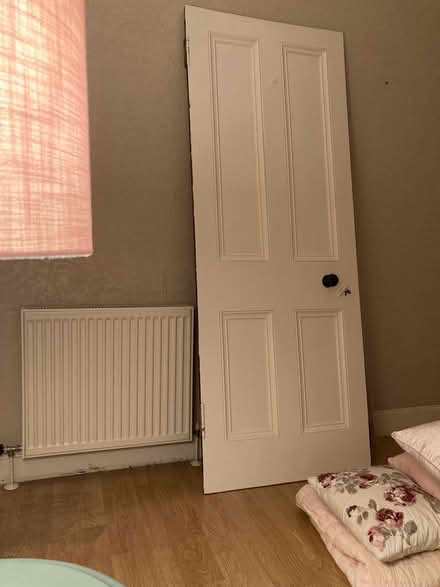 Photo of free Reclaimed door (Uphall EH52) #2