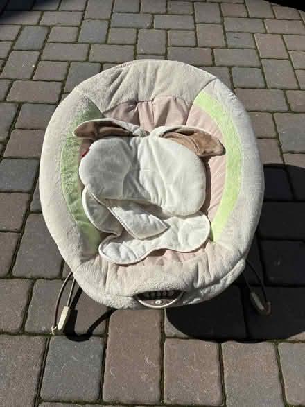 Photo of free Fisher Price Baby Bouncer (Old Mountain View) #1