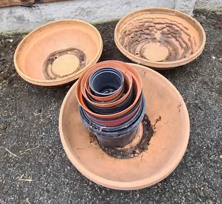 Photo of free Plant pots (Great Sutton CH66) #2