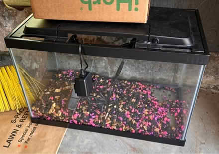 Photo of free 5.5 gallon fish tank (Livonia) #1