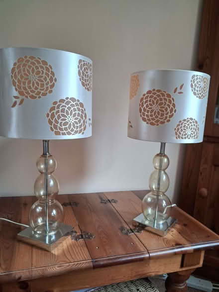 Photo of free Two table lamps (Rhayader LD6) #1