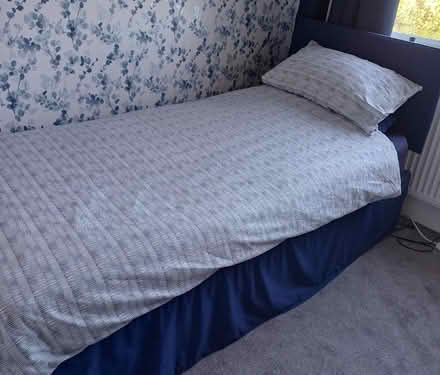 Photo of free Single bed & mattress (if wanted) (Trefor LL65) #1