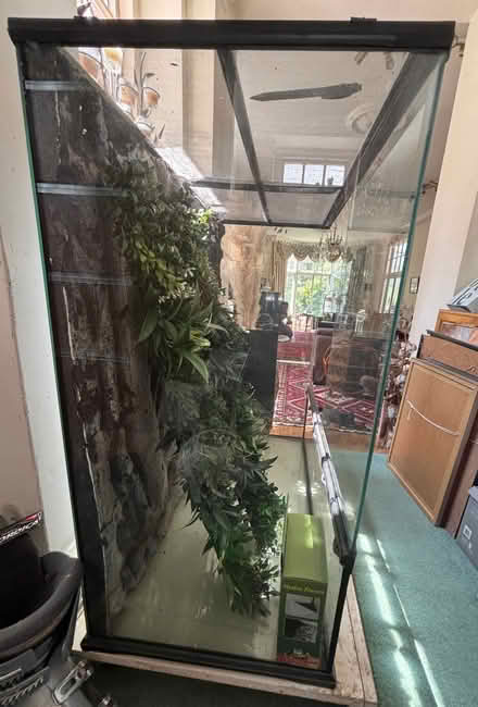 Photo of free Vivarium (Camberley GU15) #1