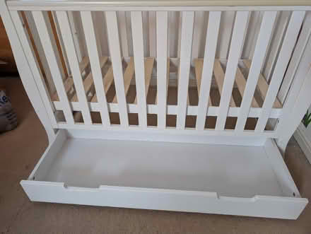 Photo of free Cot (Hackney E5) #4