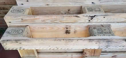 Photo of free 9 wooden pallets (Charlton SE3) #4