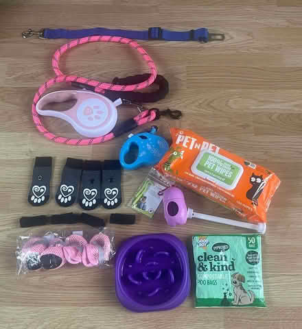 Photo of free Accessories for a small dog 2.5Kg (Old Malden KT4) #2