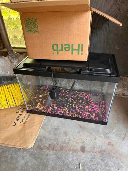 Photo of free 5.5 gallon fish tank (Livonia) #1