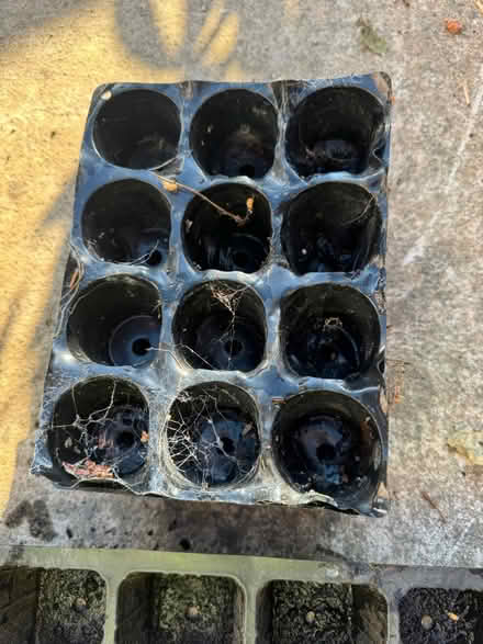Photo of free X11 various sized seed trays (Grafton, Shrewsbury) #3