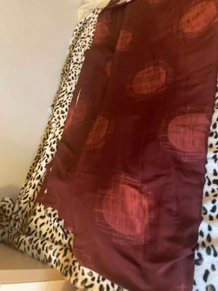 Photo of free Red curtains (TW14 bedfont) #2
