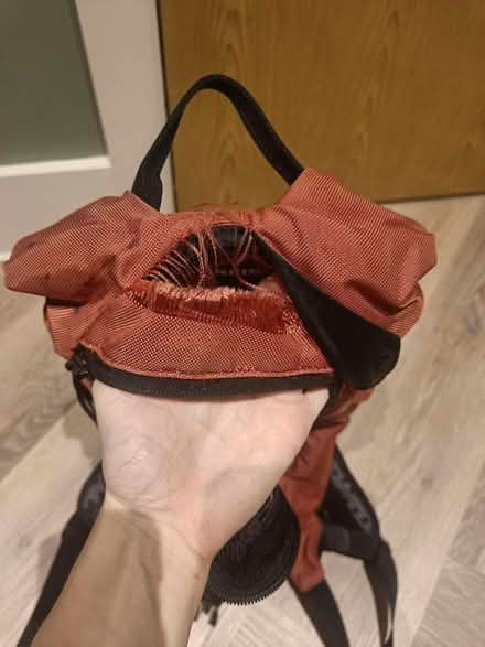 Photo of free 5L running/sport rucksack (Hove BN3) #2