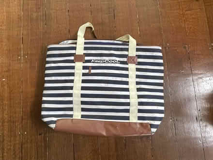 Photo of free insulated picnic bags (two) (South Berkeley) #1