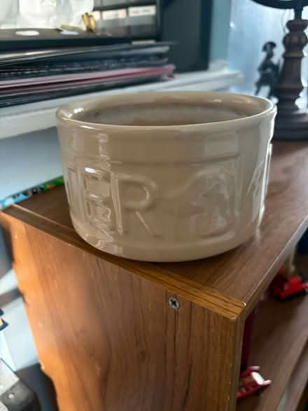 Photo of free ceramic dog drinking bowl (Walcot SN3) #1