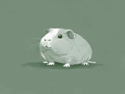 Photo of free Guinea pig gold (Aughton Park L39) #1