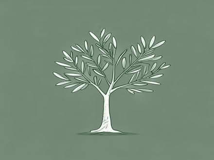 Photo of free Olive tree branches (Bexleyheath DA1) #1