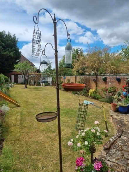 Photo of free Bird feeder (Abingdon OX14) #1
