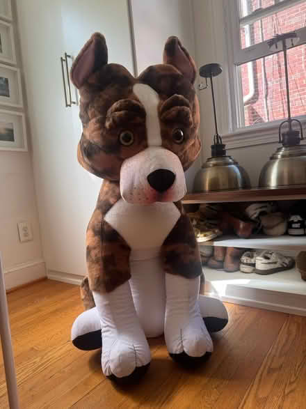 Photo of free LARGE stuffed animal dog (Chevy chase DC) #1