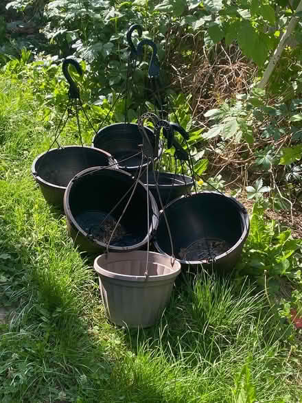 Photo of free hanging plant containers (southeast Denver) #1