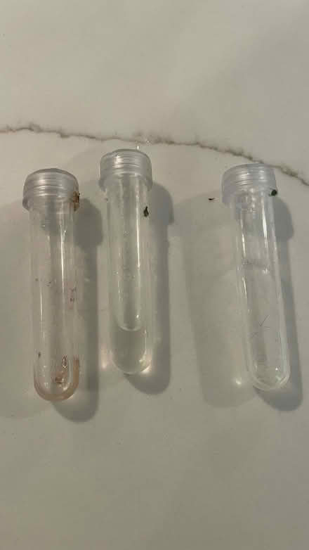 Photo of free Flower vials (Fremont & 85) #1