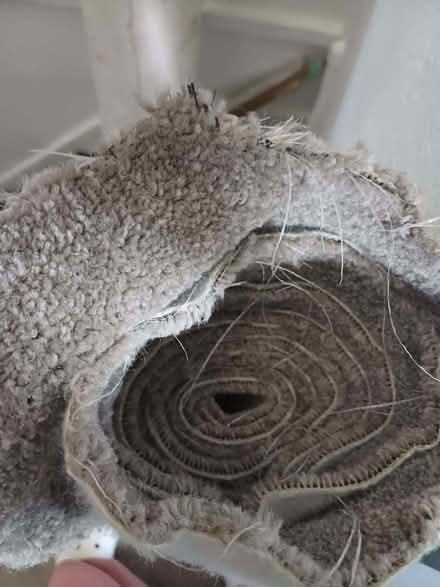 Photo of free Rolls of offcut carpet (Wood Green N22) #3