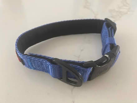 Photo of free New Kong dog collar (Reading Highlands) #1