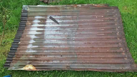 Photo of free Sheets of used corrugated iron 150cm x 42cm (Kings Meaburn CA10) #1