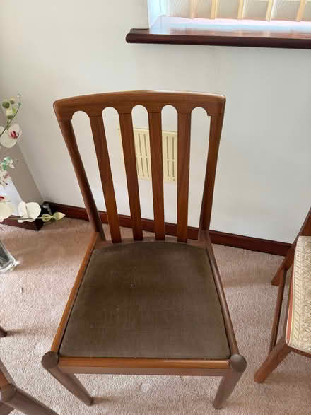 Photo of free Dining chairs (Rayleigh SS6) #2