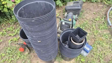 Photo of free 15l plant pots (Hastings TN37) #1